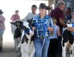 Annual 4-H auction closes fair, registers $200K in sales