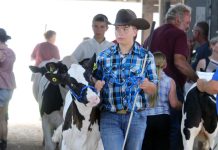 Annual 4-H auction closes fair, registers $200K in sales