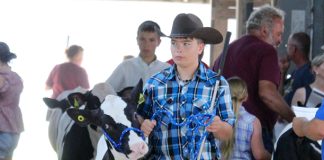 Annual 4-H auction closes fair, registers $200K in sales
