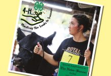 Wells 4H Scrapbook 2026