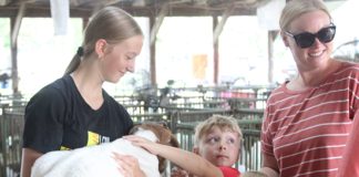 Scenes from the fair