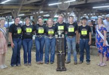Royal Showmanship