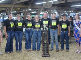 Royal Showmanship
