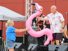 Red, white and flamingoes too