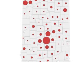 County officials divided on Flock cameras in debate over privacy