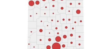 County officials divided on Flock cameras in debate over privacy