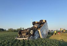 Four injured in Adams County crash