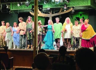 Shakespeare at the Pulse