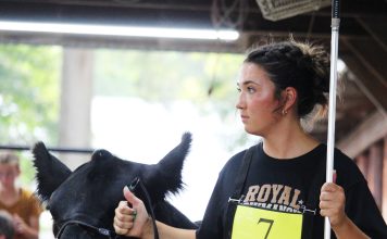 Photos from the 2026 Wells 4H