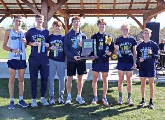 Knight boys repeat as sectional champs, others in Wells County advance