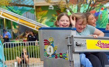 Photos from the 2026 Street Fair Scrapbook